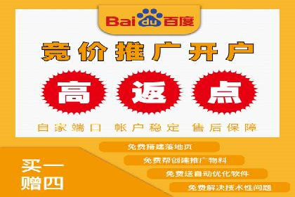 百度竞价包年策略：成功案例解析与经验分享